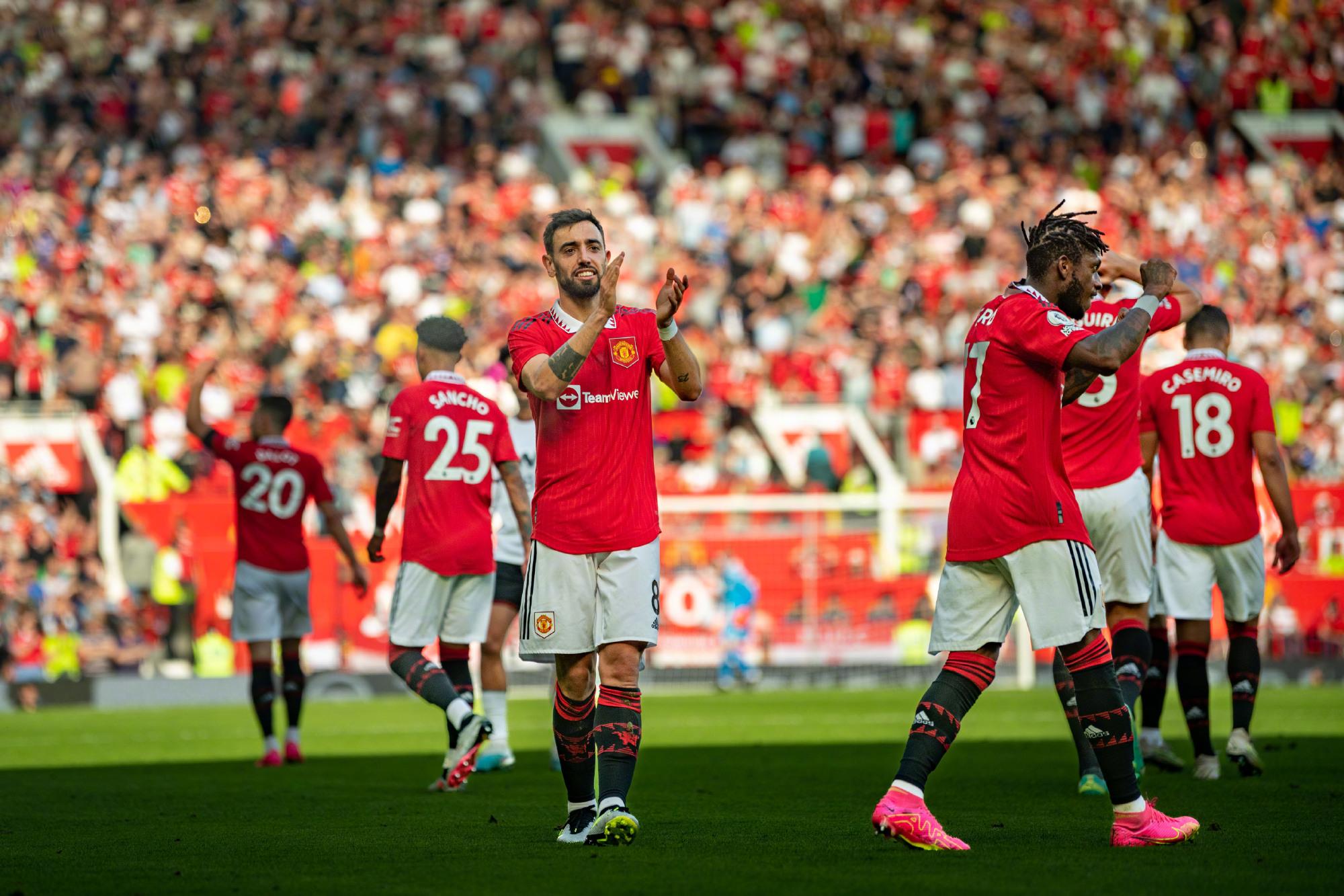 一种食材 一种食材